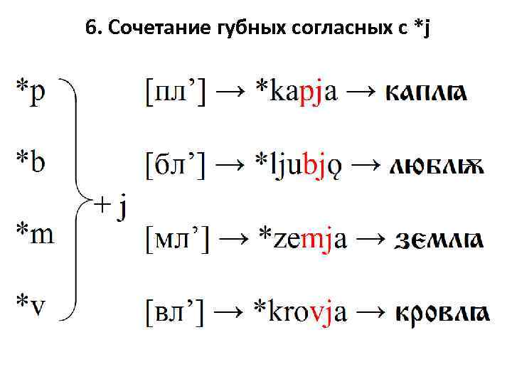 6. Сочетание губных согласных с *j 