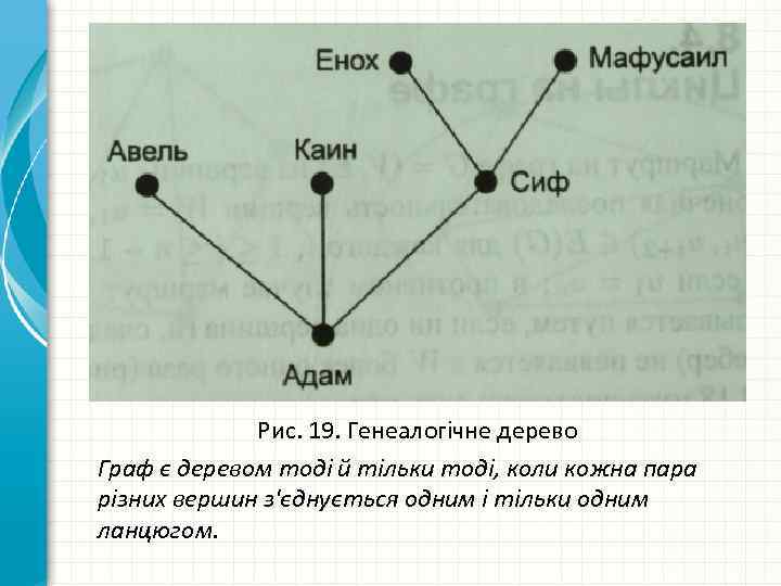 Рис. 19. Генеалогічне дерево Граф є деревом тоді й тільки тоді, коли кожна пара