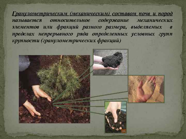 Гранулометрическим (механическим) составом почв и пород называется относительное содержание механических элементов или фракций разного