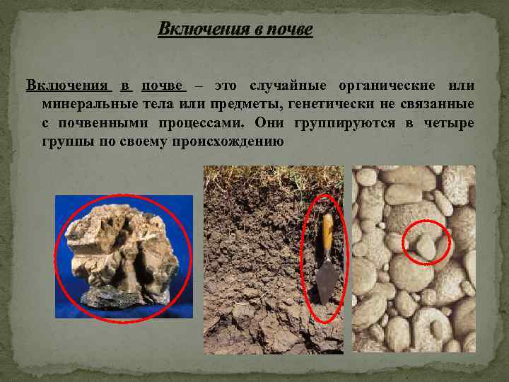 Включения в почве – это случайные органические или минеральные тела или предметы, генетически не