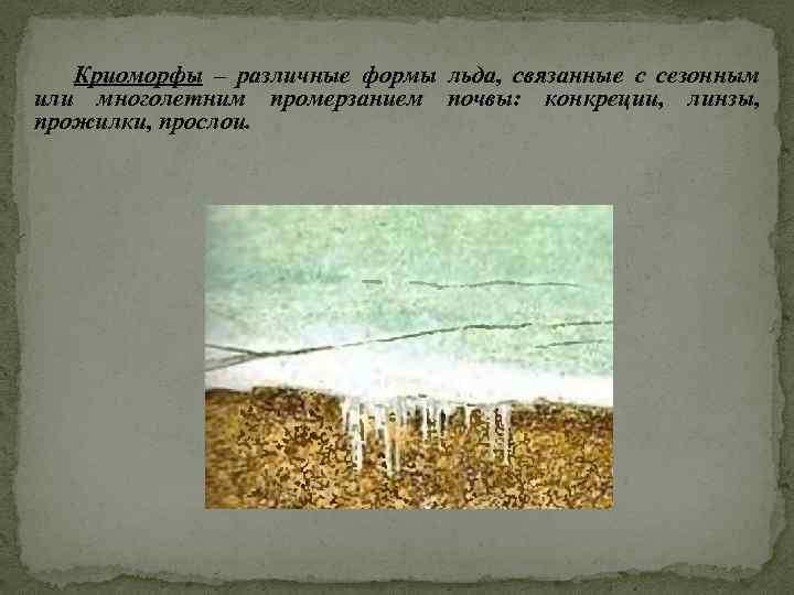 Криоморфы – различные формы льда, связанные с сезонным или многолетним промерзанием почвы: конкреции, линзы,