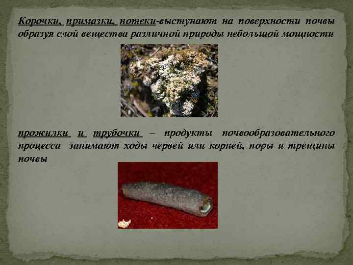 Корочки, примазки, потеки-выступают на поверхности почвы образуя слой вещества различной природы небольшой мощности прожилки