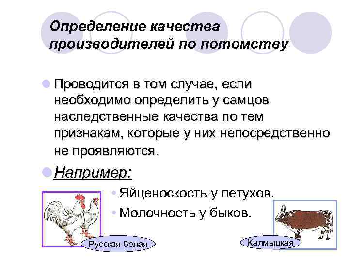 Определение качества производителей по потомству l Проводится в том случае, если необходимо определить у