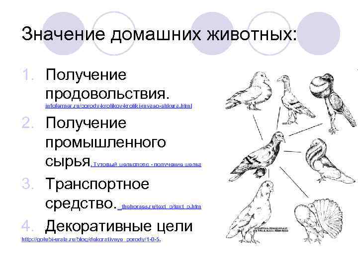 Значение домашних животных: 1. Получение продовольствия. infofermer. ru/porody-krolikov-kroliki-myaso-shkura. html 2. Получение промышленного сырья 3.