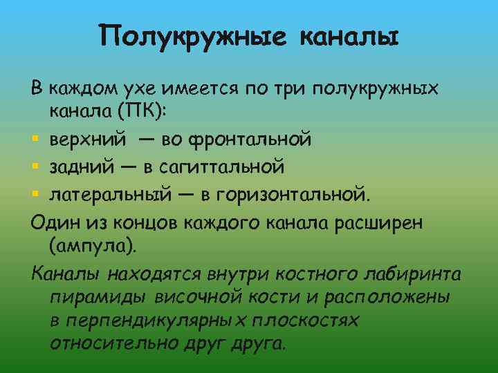 Полукружные каналы В каждом ухе имеется по три полукружных канала (ПК): § верхний —