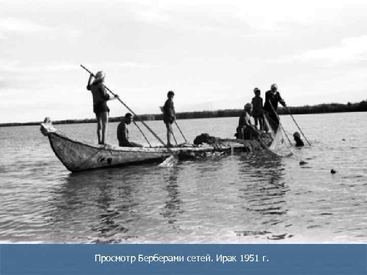 Просмотр Берберами сетей. Ирак 1951 г. 