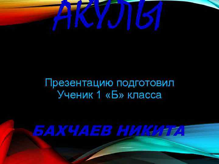 АКУЛЫ Презентацию подготовил Ученик 1 «Б» класса БАХЧАЕВ НИКИТА 