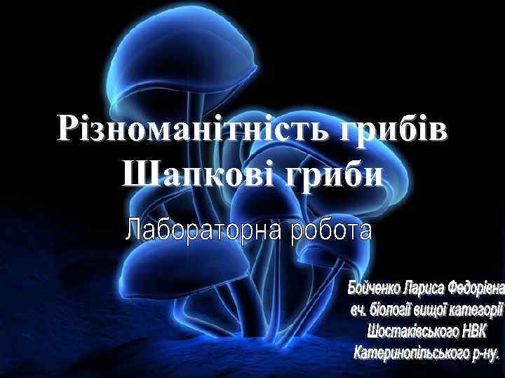 Різноманітність грибів Шапкові гриби 