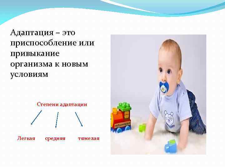 Адаптация – это приспособление или привыкание организма к новым условиям Степени адаптации Легкая средняя