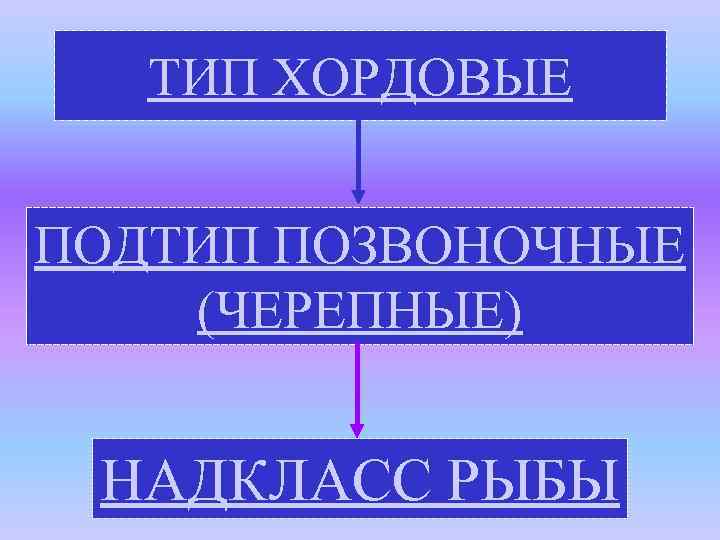 ТИП ХОРДОВЫЕ ПОДТИП ПОЗВОНОЧНЫЕ (ЧЕРЕПНЫЕ) НАДКЛАСС РЫБЫ 
