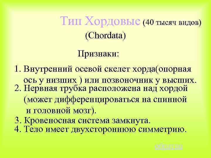 Тип Хордовые (40 тысяч видов) (Chordata) Признаки: 1. Внутренний осевой скелет хорда(опорная ось у
