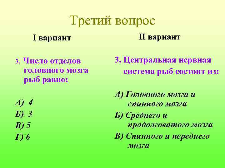Третий вопрос I вариант 3. Число отделов головного мозга рыб равно: А) 4 Б)