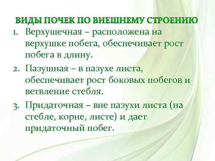 1. Верхушечная – расположена на верхушке побега, обеспечивает рост побега в длину. 2. Пазушная