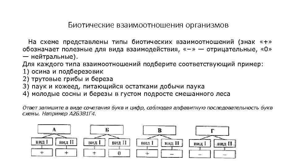 Взаимоотношения между организмами схема