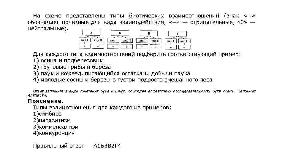 Схема биотических связей