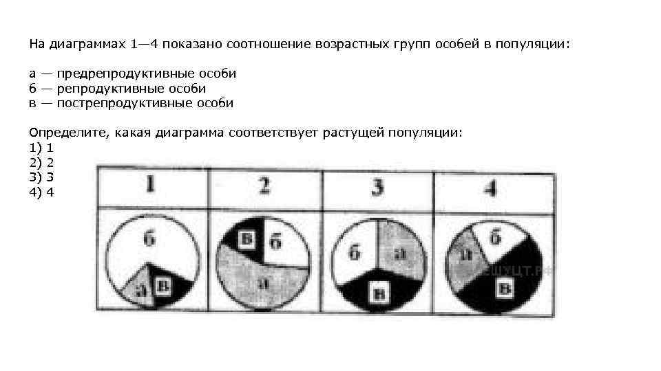 На диаграмме показано соотношение. Соотношение особей диаграмма. Соотношение различных возрастов групп в популяции выражают. Соотношение разных возрастных групп в популяции это. Диаграмма соотношения количества особей разных возрастных групп.