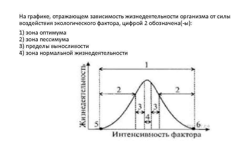 На графике, отражающем зависимость жизнедеятельности организма от силы воздействия экологического фактора, цифрой 2 обозначена(-ы):
