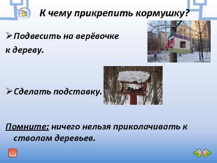 К чему прикрепить кормушку? Ø Подвесить на верёвочке к дереву. Ø Сделать подставку. Помните: