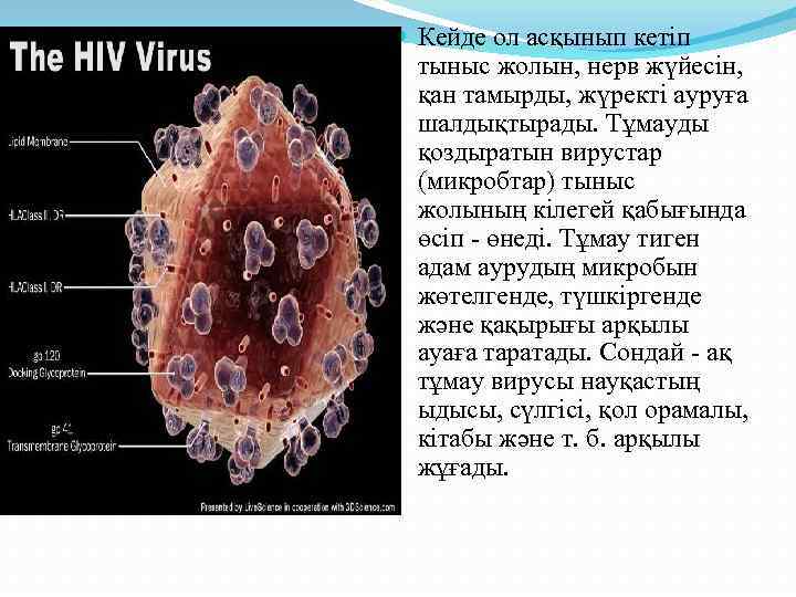  Кейде ол асқынып кетіп тыныс жолын, нерв жүйесін, қан тамырды, жүректі ауруға шалдықтырады.