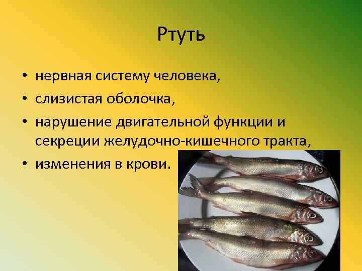 Ртуть • нервная систему человека, • слизистая оболочка, • нарушение двигательной функции и секреции