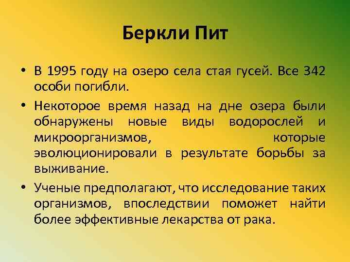 Беркли Пит • В 1995 году на озеро села стая гусей. Все 342 особи