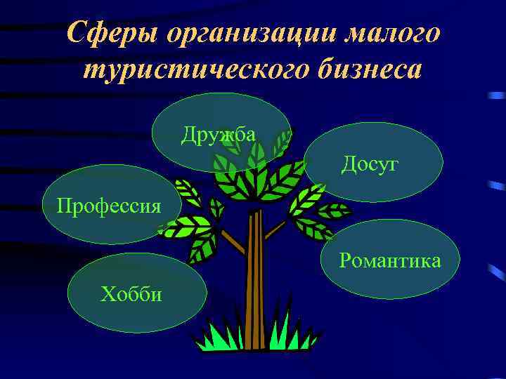 Сферы организации малого туристического бизнеса Дружба Досуг Профессия Романтика Хобби 