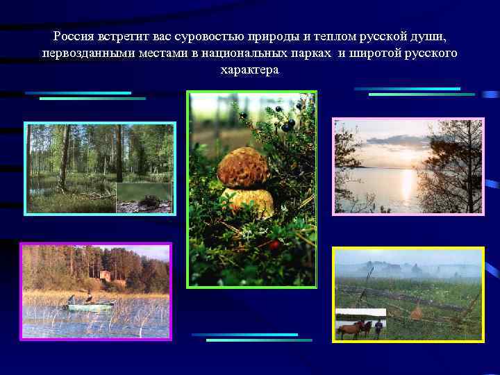 Россия встретит вас суровостью природы и теплом русской души, первозданными местами в национальных парках