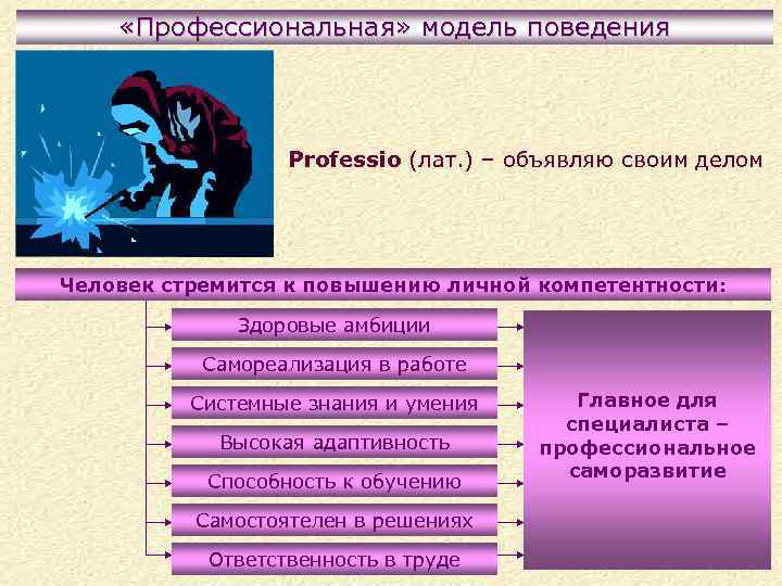  «Профессиональная» модель поведения Professio (лат. ) – объявляю своим делом Человек стремится к