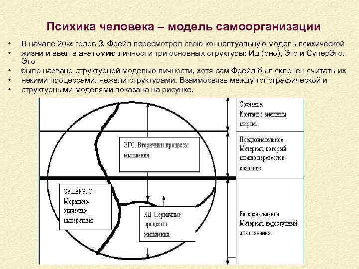 Какова структура психики по фрейду