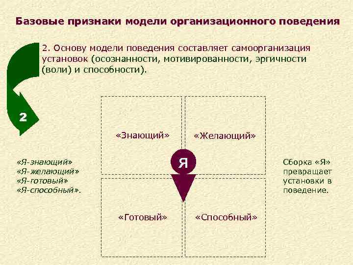 Базовые признаки модели организационного поведения 2. Основу модели поведения составляет самоорганизация установок (осознанности, мотивированности,