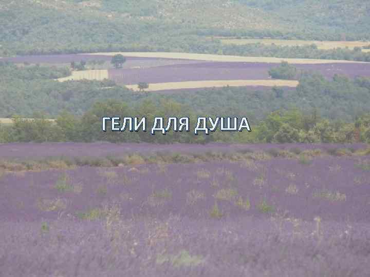ГЕЛИ ДЛЯ ДУША 