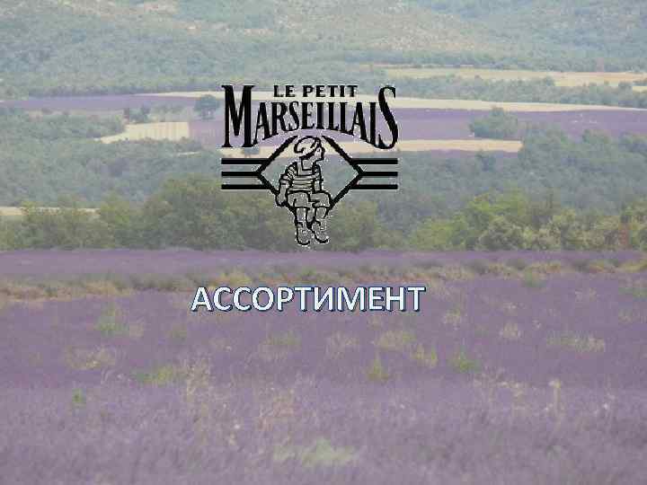 АССОРТИМЕНТ 