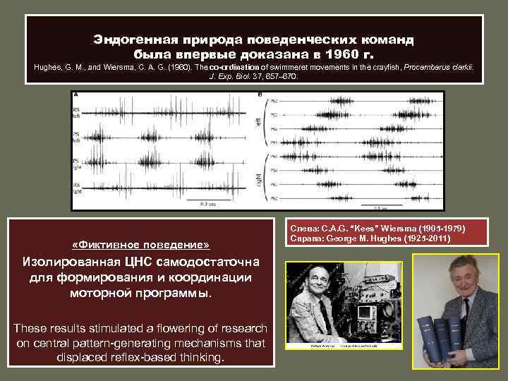 Эндогенная природа поведенческих команд была впервые доказана в 1960 г. Hughes, G. M. ,