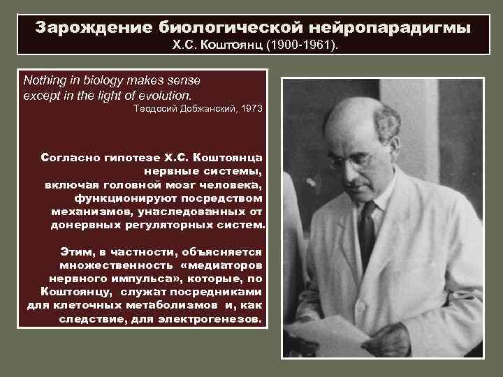 Зарождение биологической нейропарадигмы Х. С. Коштоянц (1900 -1961). Nothing in biology makes sense еxсept