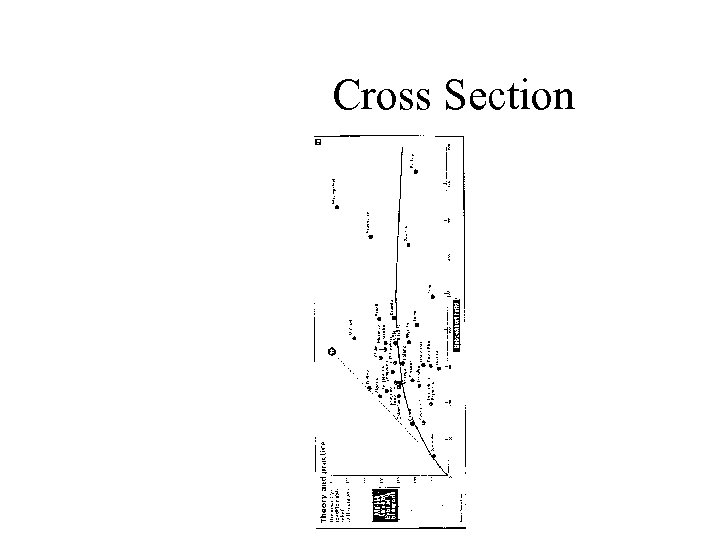 Cross Section 