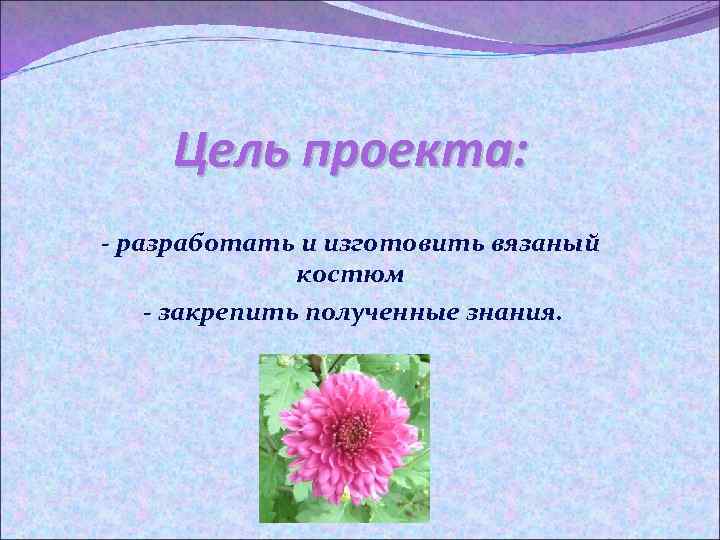Цель проекта: - разработать и изготовить вязаный костюм - закрепить полученные знания. 