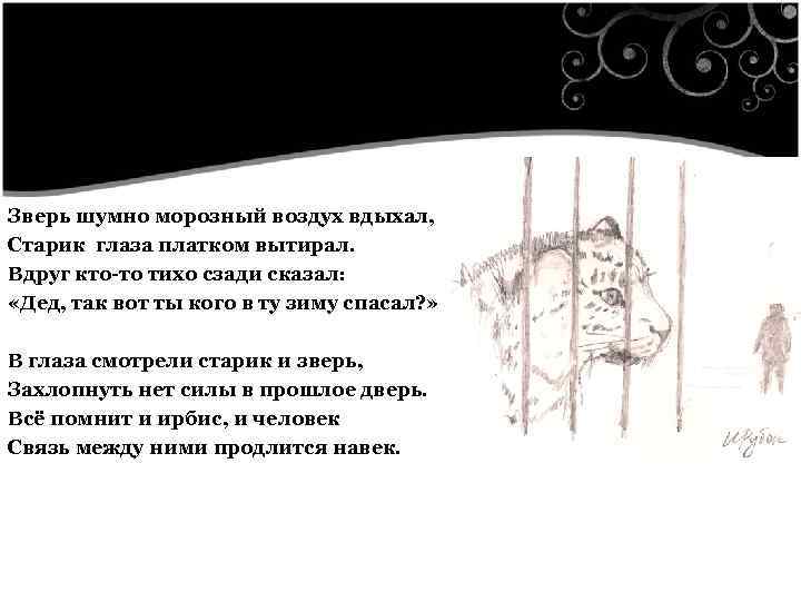  Зверь шумно морозный воздух вдыхал, Старик глаза платком вытирал. Вдруг кто-то тихо сзади