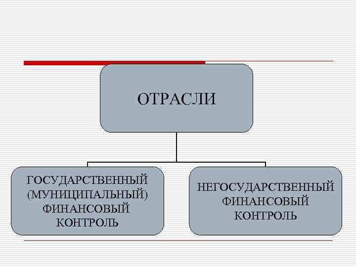 ОТРАСЛИ ГОСУДАРСТВЕННЫЙ (МУНИЦИПАЛЬНЫЙ) ФИНАНСОВЫЙ КОНТРОЛЬ НЕГОСУДАРСТВЕННЫЙ ФИНАНСОВЫЙ КОНТРОЛЬ 