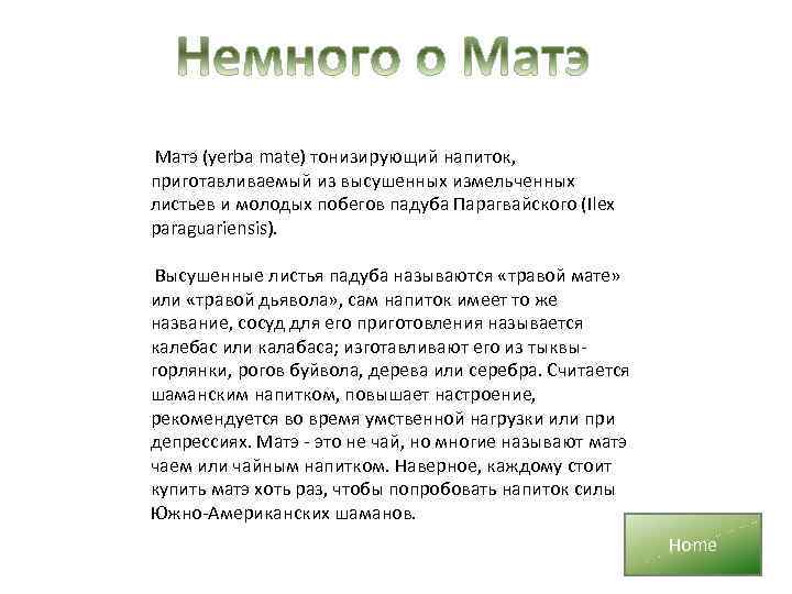 Матэ (yerba mate) тонизирующий напиток, приготавливаемый из высушенных измельченных листьев и молодых побегов падуба