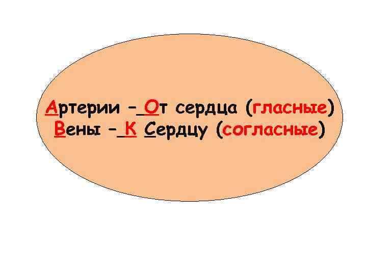 Артерии – От сердца (гласные) Вены – К Сердцу (согласные) 