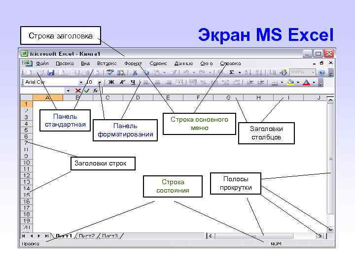 Экран MS Excel Строка заголовка Панель стандартная Панель форматирования Строка основного меню Заголовки столбцов