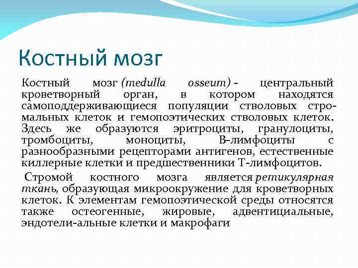 Костный мозг (medulla osseum) - центральный кроветворный орган, в котором находятся самоподдерживающиеся популяции стволовых