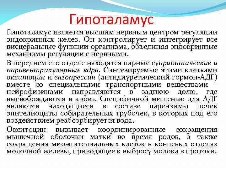 Гипоталамус является высшим нервным центром регуляции эндокринных желез. Он контролирует и интегрирует все висцеральные
