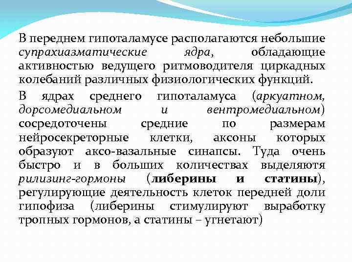 В переднем гипоталамусе располагаются небольшие супрахиазматические ядра, обладающие активностью ведущего ритмоводителя циркадных колебаний различных