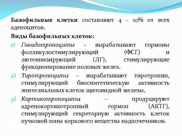 Базофильные клетки составляют 4 – 10% от всех аденоцитов. Виды базофильных клеток: 1) Гонадотропоциты