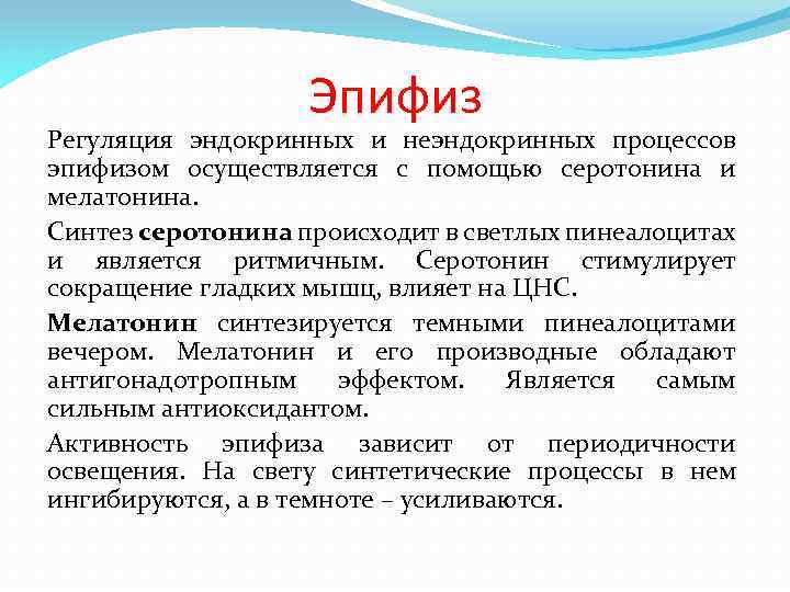 Эпифиз Регуляция эндокринных и неэндокринных процессов эпифизом осуществляется с помощью серотонина и мелатонина. Синтез