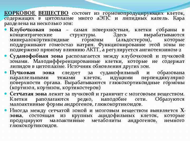 КОРКОВОЕ ВЕЩЕСТВО состоит из гормонопродуцирующих клеток, содержащих в цитоплазме много а. ЭПС и липидных