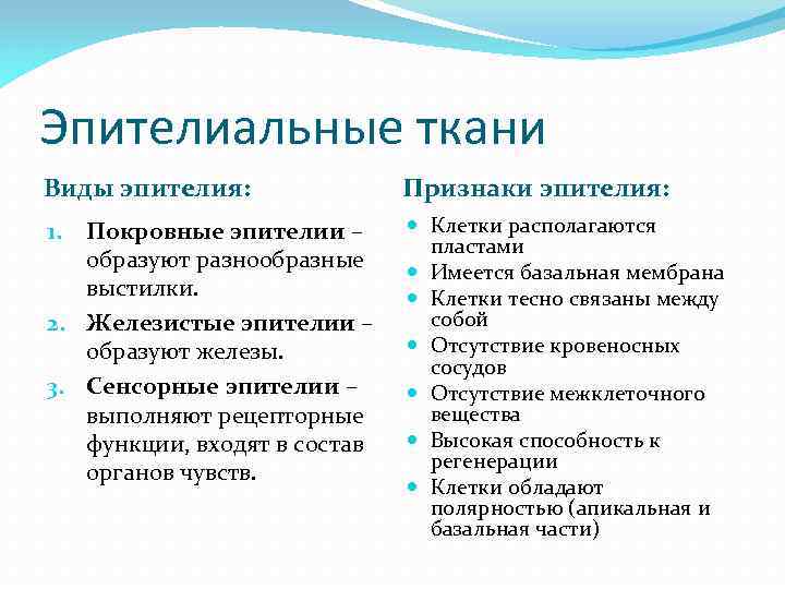 Признаки ткани. Признаки эпителиальной ткани. Общие признаки эпителиальных тканей. Признаки эпителиалный ткани. Основные признаки эпителиальной ткани.