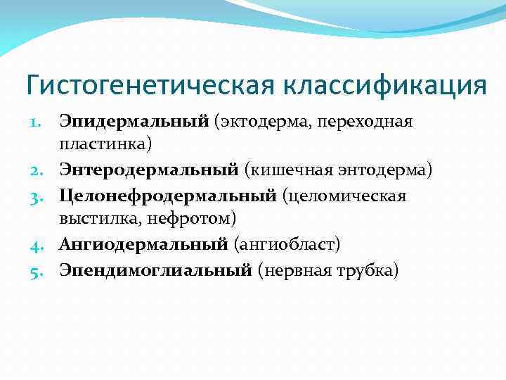 Гистогенетическая классификация 1. Эпидермальный (эктодерма, переходная пластинка) 2. Энтеродермальный (кишечная энтодерма) 3. Целонефродермальный (целомическая