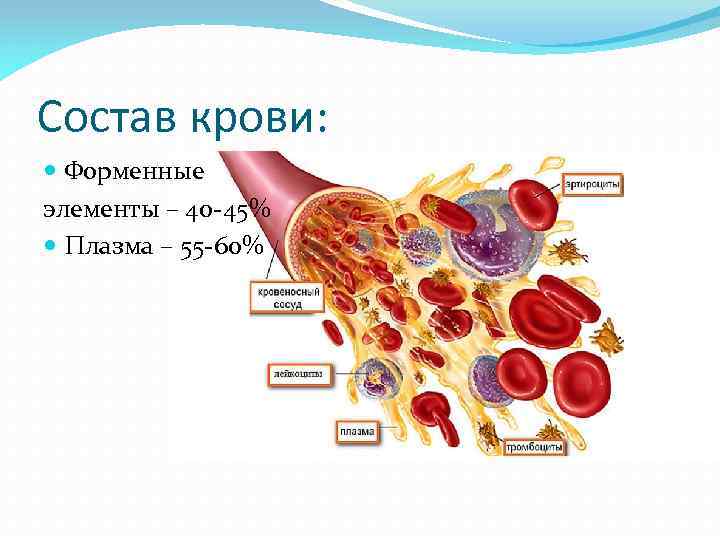 Состоит из плазмы и форменных. Кровь плазма и форменные. Состав крови плазма и форменные элементы. Кровь плазма и форменные элементы крови. Состав крови форменные элементы.